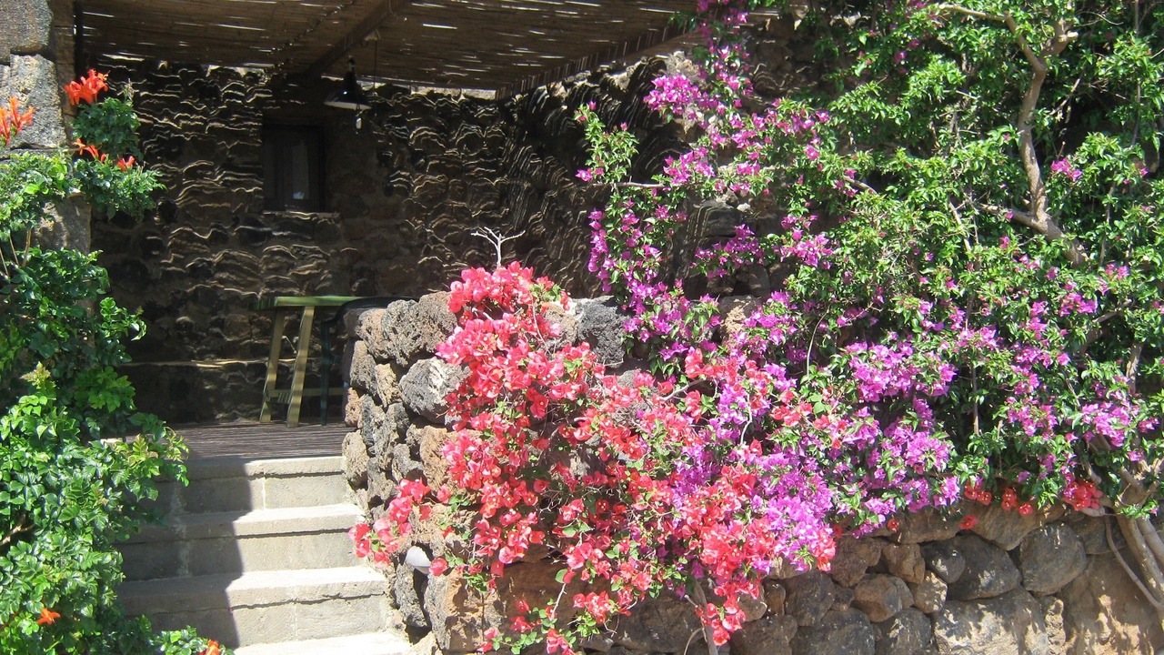 Photo of Bedroom in Pantelleria