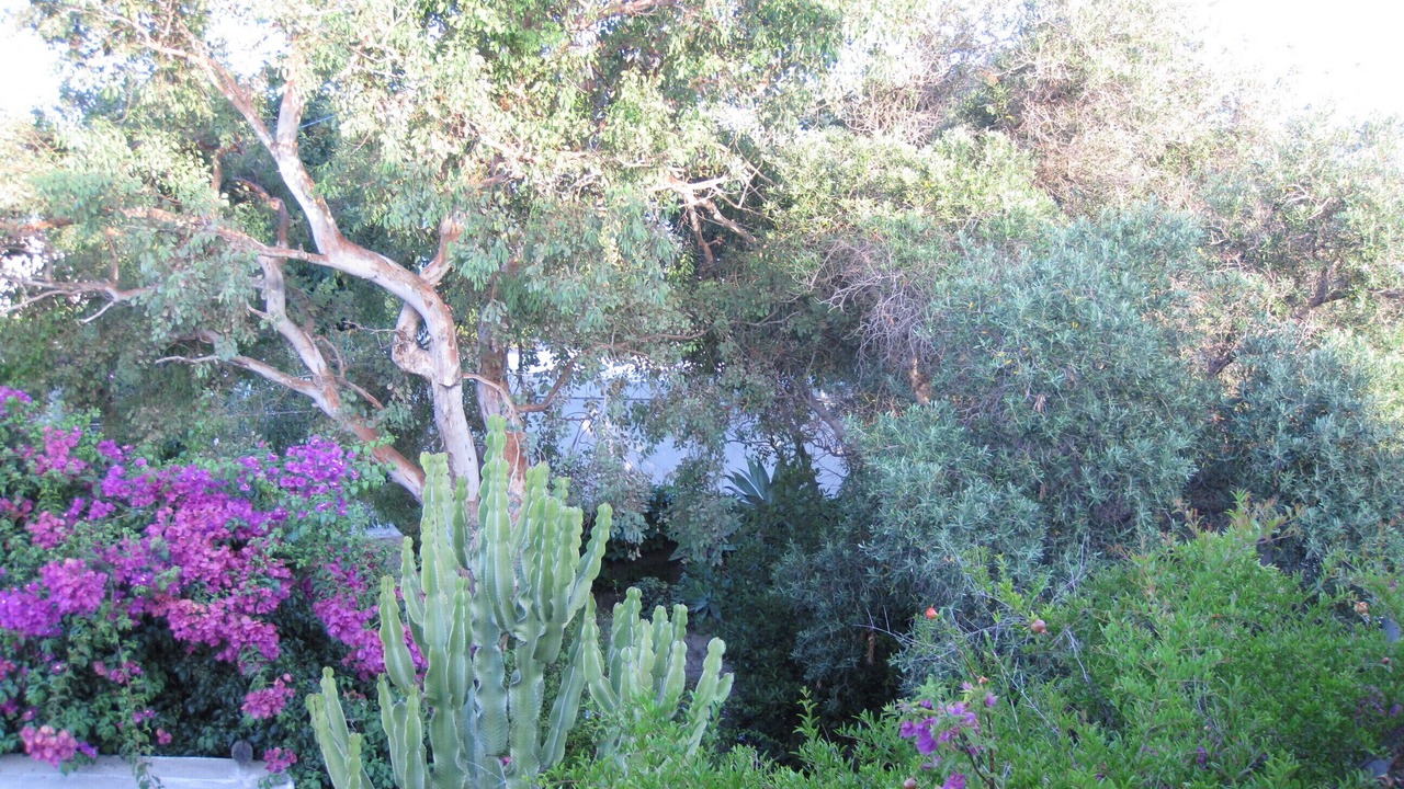 Photo of Outdoor in Piscita