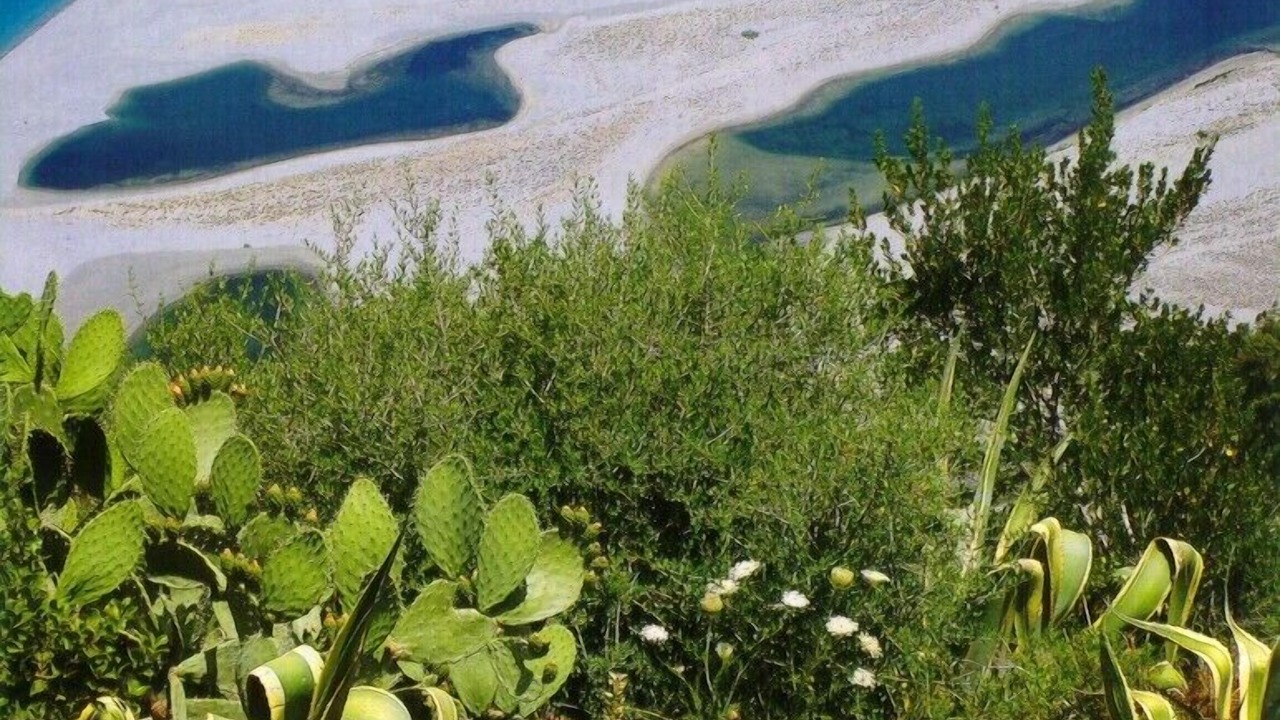 Photo of Outdoor in San Giorgio