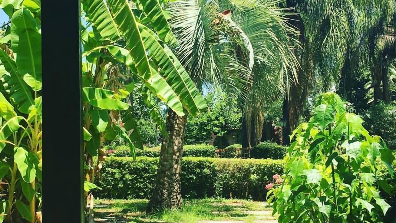 Photo of Outdoor in Giardini Naxos