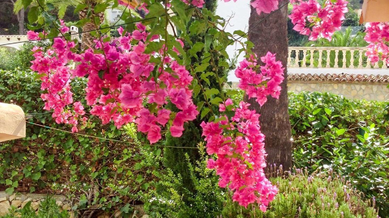 Photo of Outdoor in Savoca