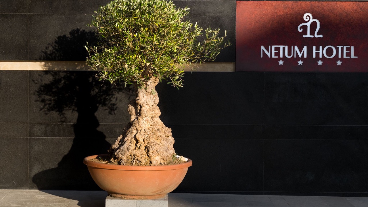 Photo of Outdoor in Noto