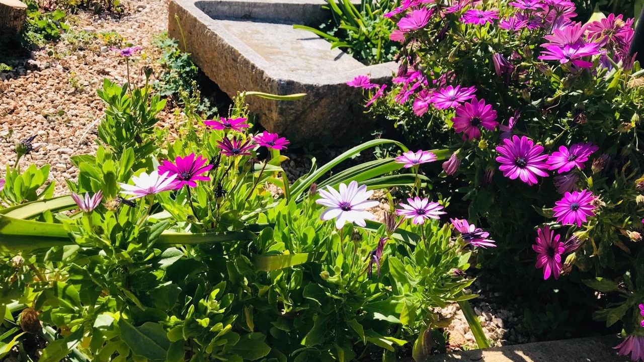 Photo of Outdoor in Castelluzzo