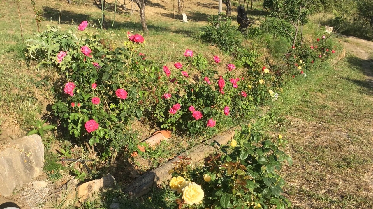 Photo of Outdoor in Castelbuono