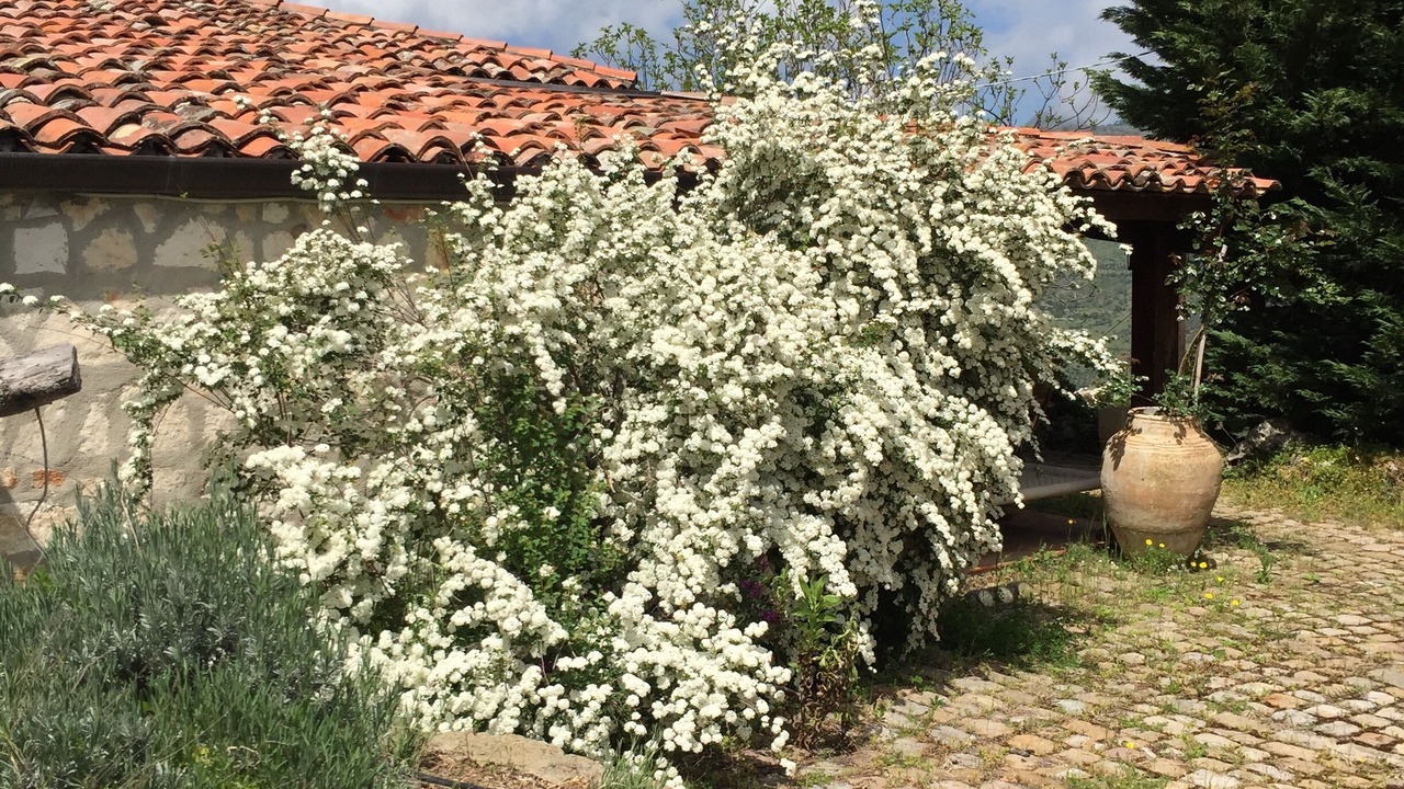Photo of Outdoor in Castelbuono