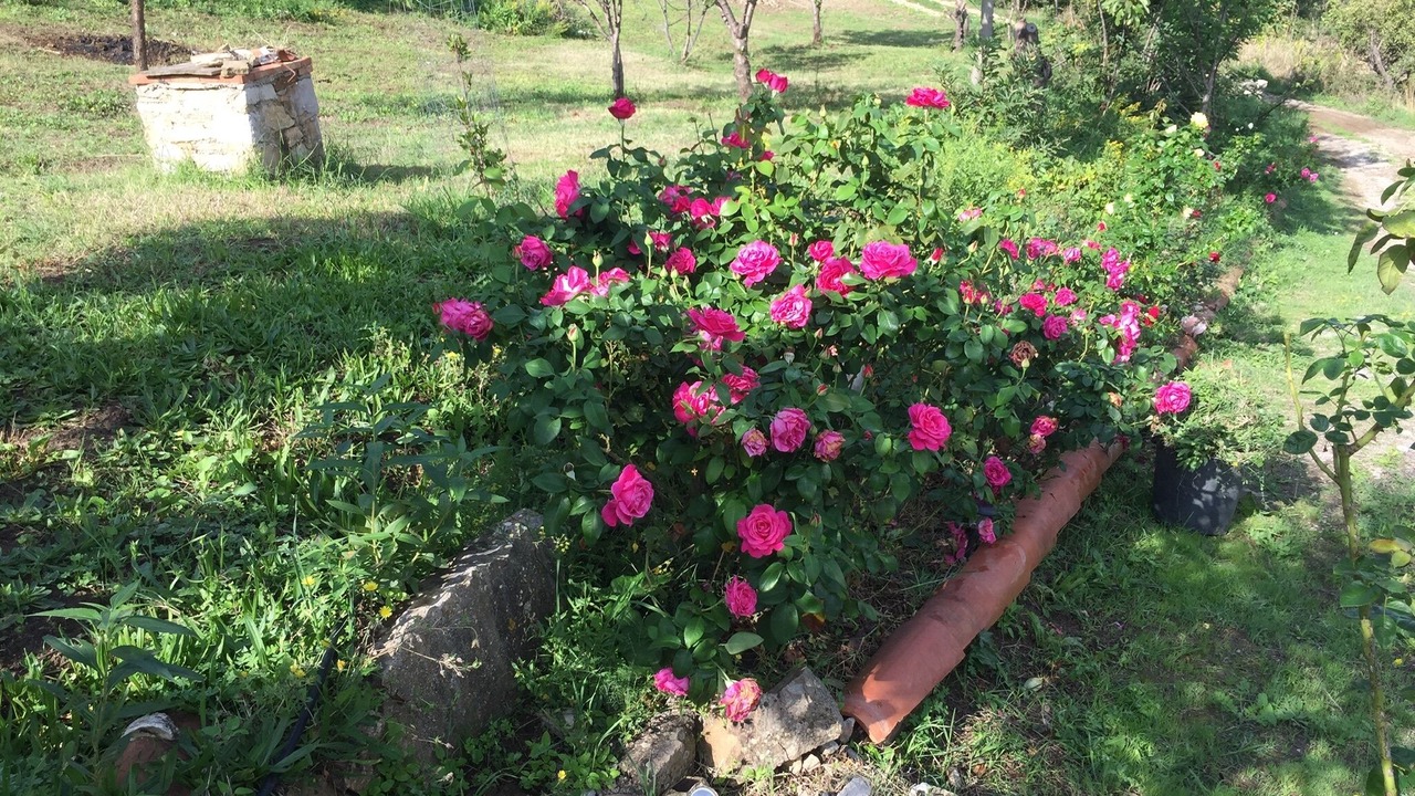 Photo of Outdoor in Castelbuono