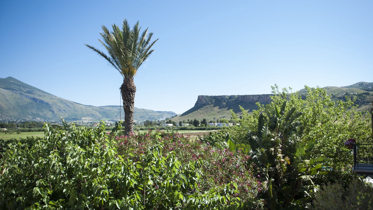 Photo of Outdoor in Scopello