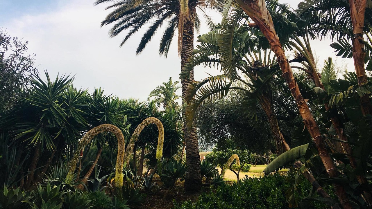 Photo of Outdoor in Scopello