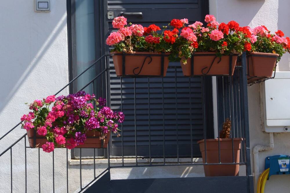 Photo of Outdoor in Capo Peloro