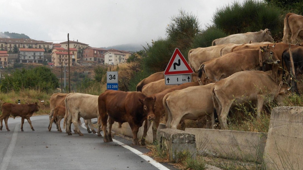 Photo of Outdoor in Geraci Siculo