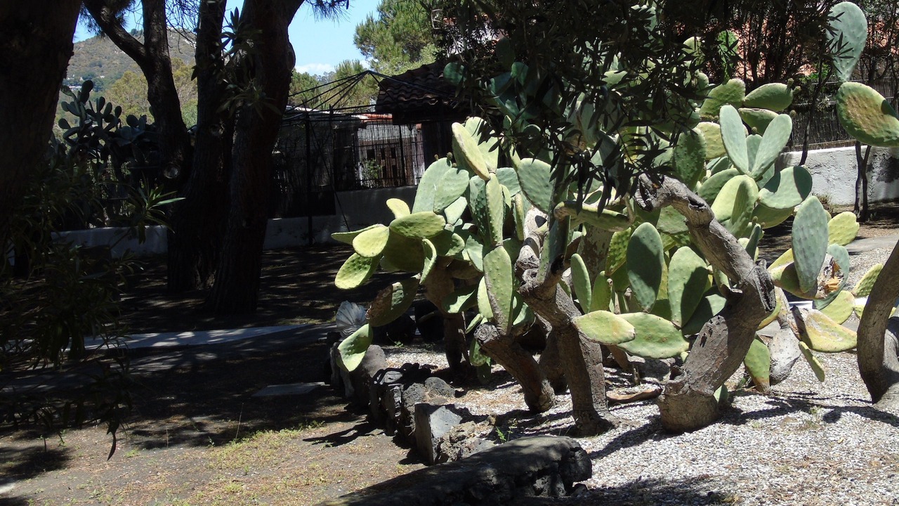 Photo of Outdoor in Vulcano Porto