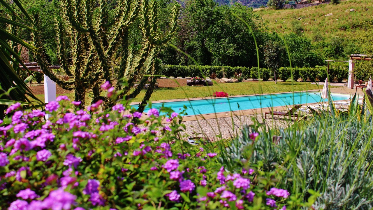 Photo of Outdoor in Mitogio