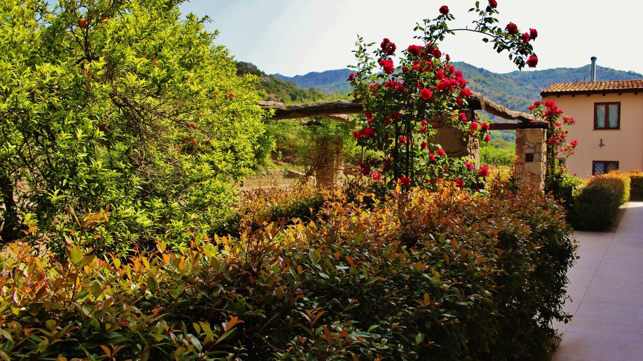 Photo of Outdoor in Mitogio