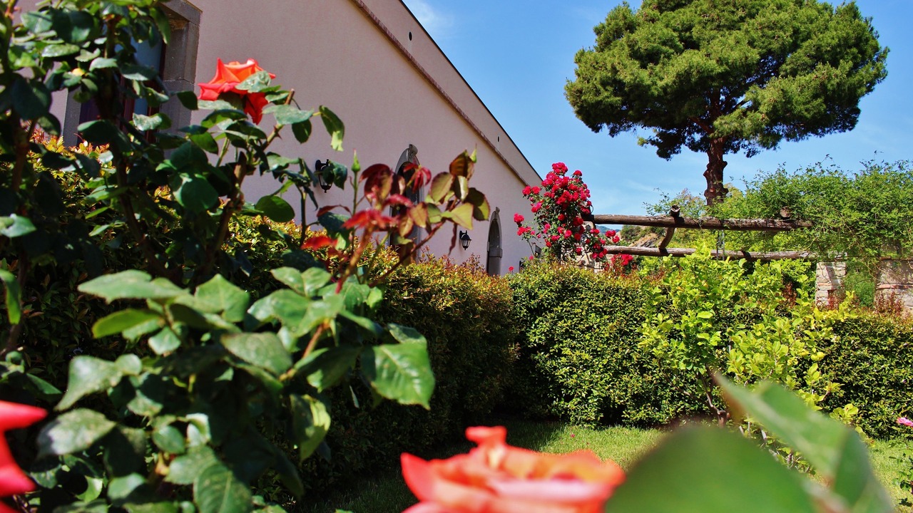 Photo of Outdoor in Mitogio