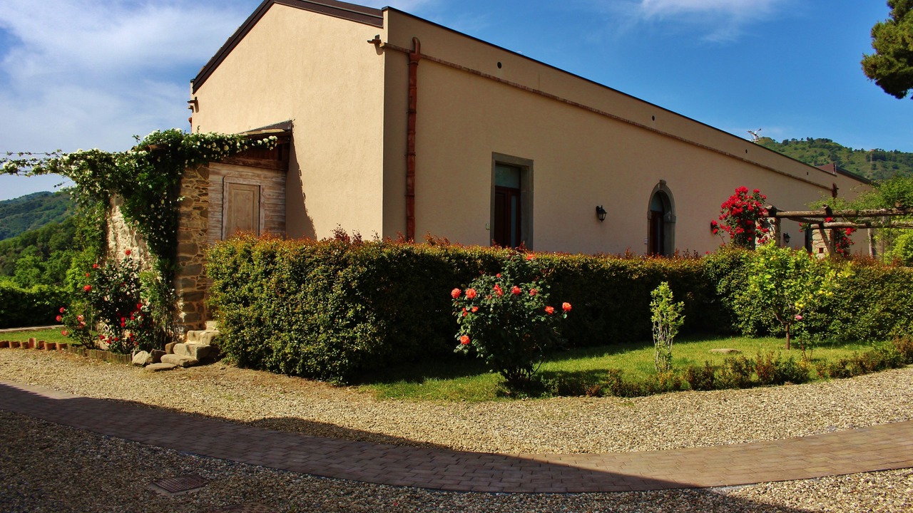 Photo of Outdoor in Mitogio