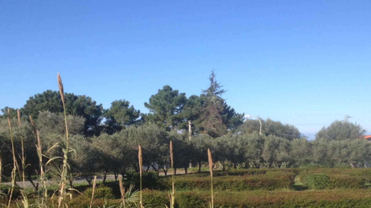Photo of Outdoor in Briatico