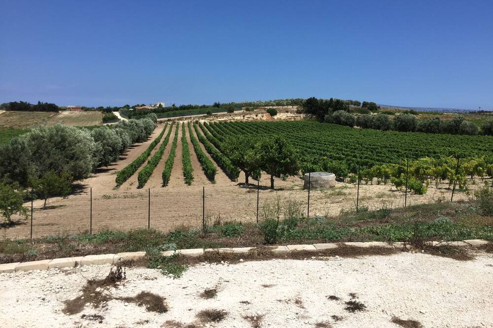 Photo of Outdoor in Noto