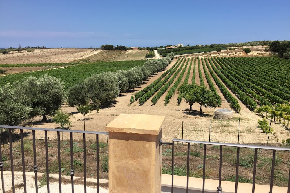 Photo of Others in Noto