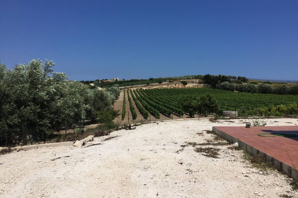 Photo of Others in Noto
