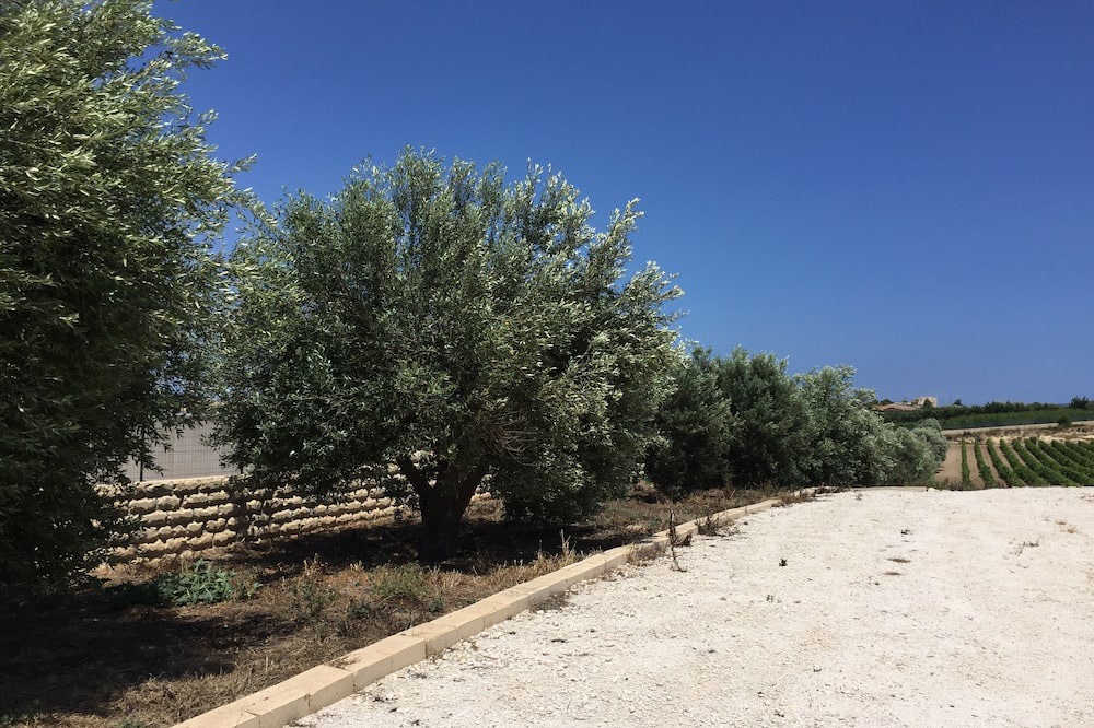 Photo of Outdoor in Noto