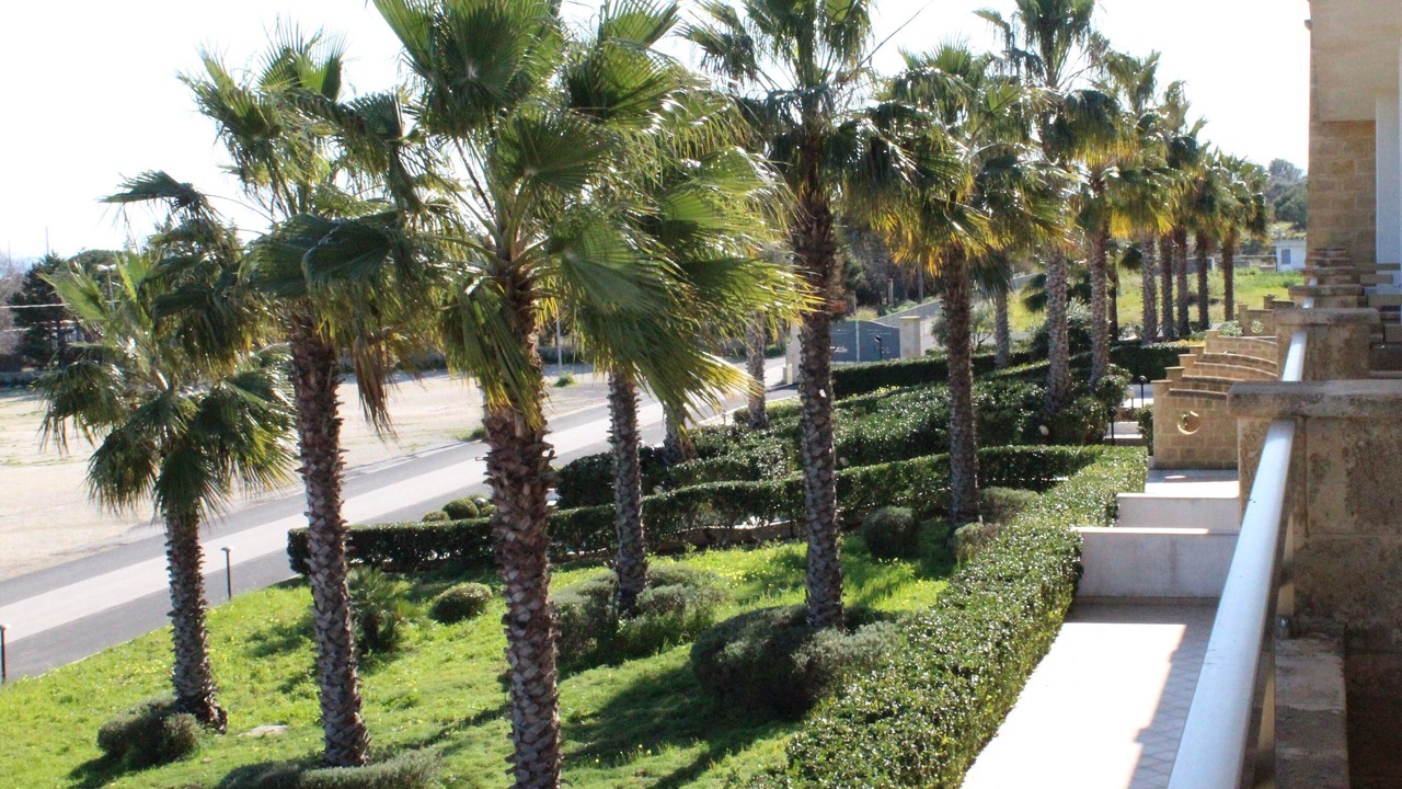 Photo of Outdoor in Melilli