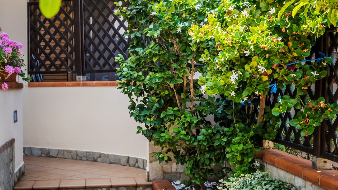 Photo of Outdoor in Milazzo