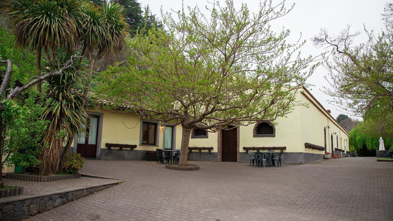 Photo of Outdoor in Montelaguardia