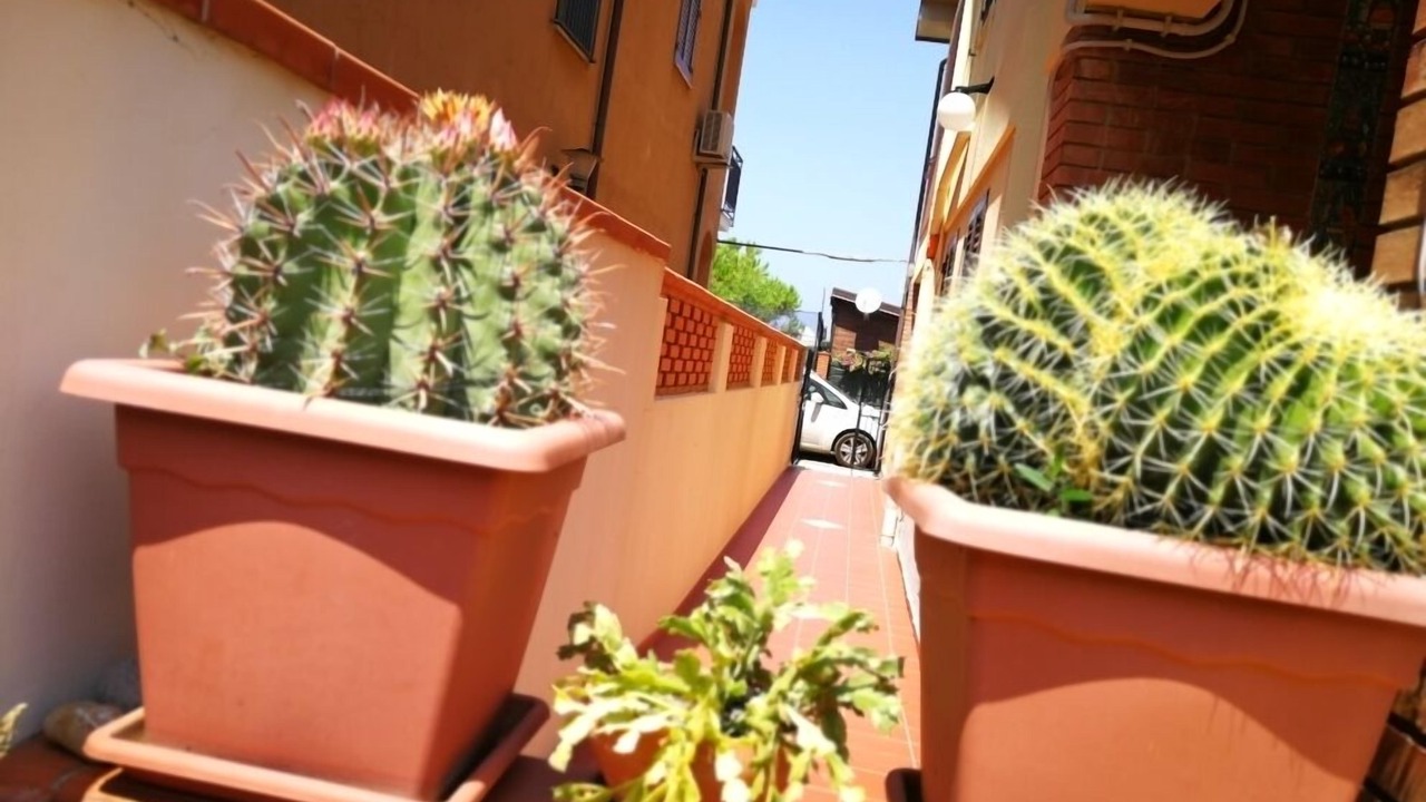 Photo of Outdoor in Castel Di Tusa
