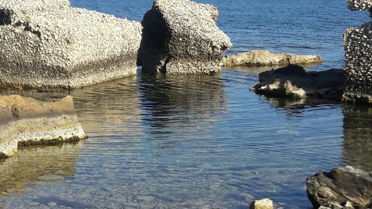 Photo of Others in Noto Marina
