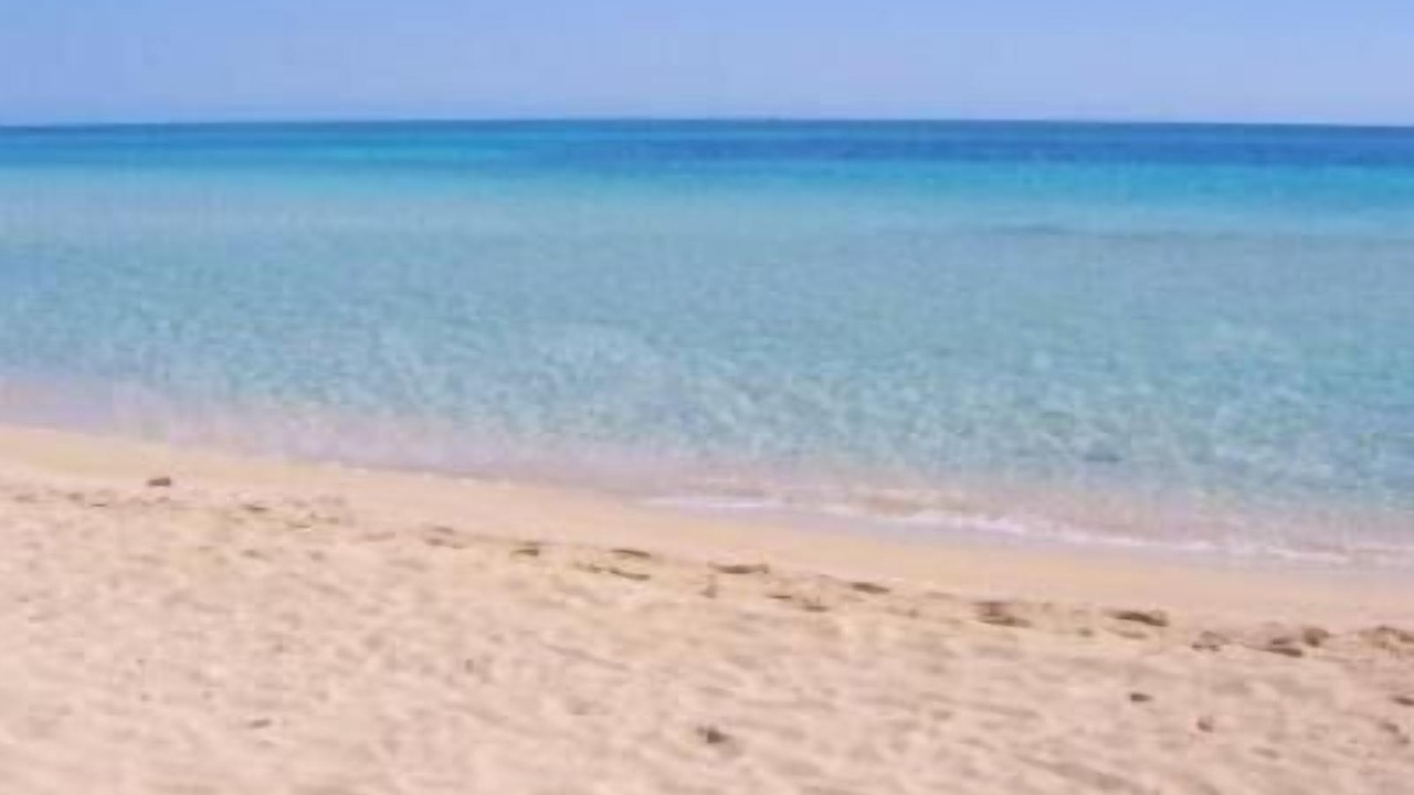Photo of Others in Noto Marina