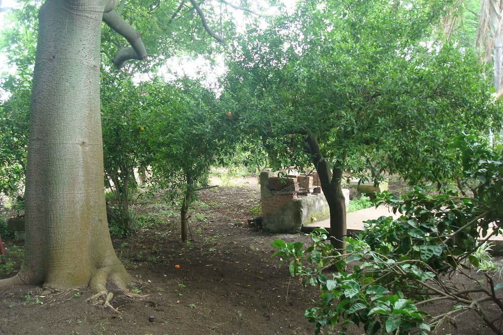 Photo of Outdoor in Sant'Anna