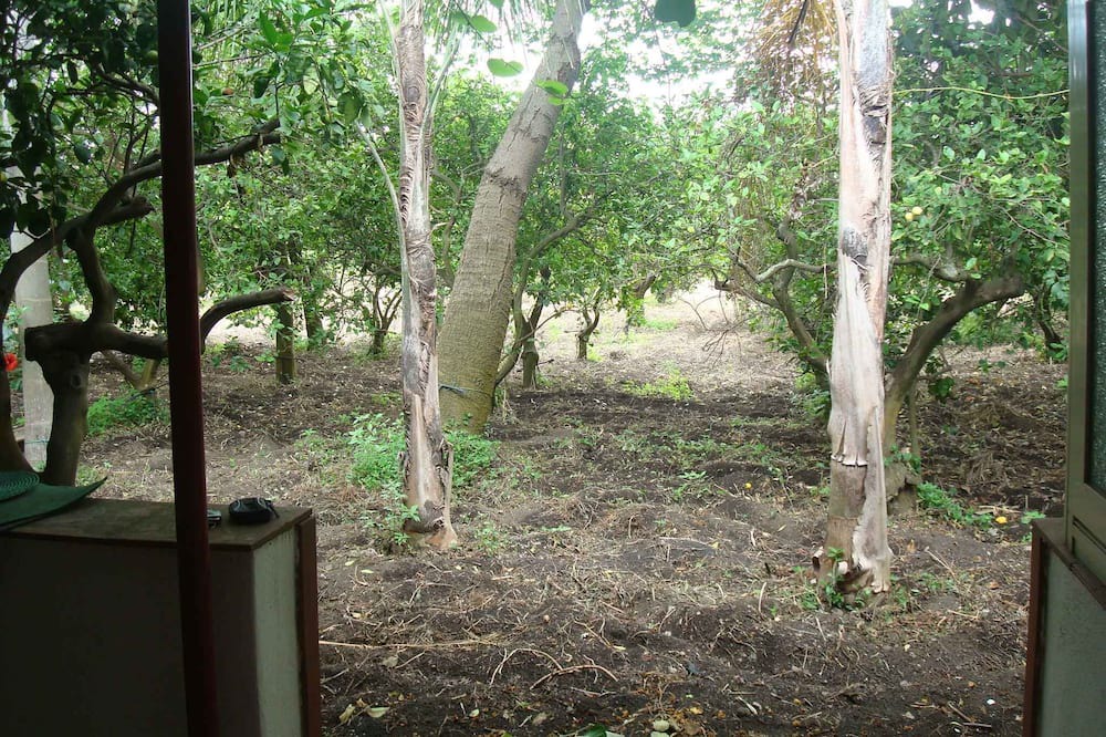 Photo of Outdoor in Sant'Anna