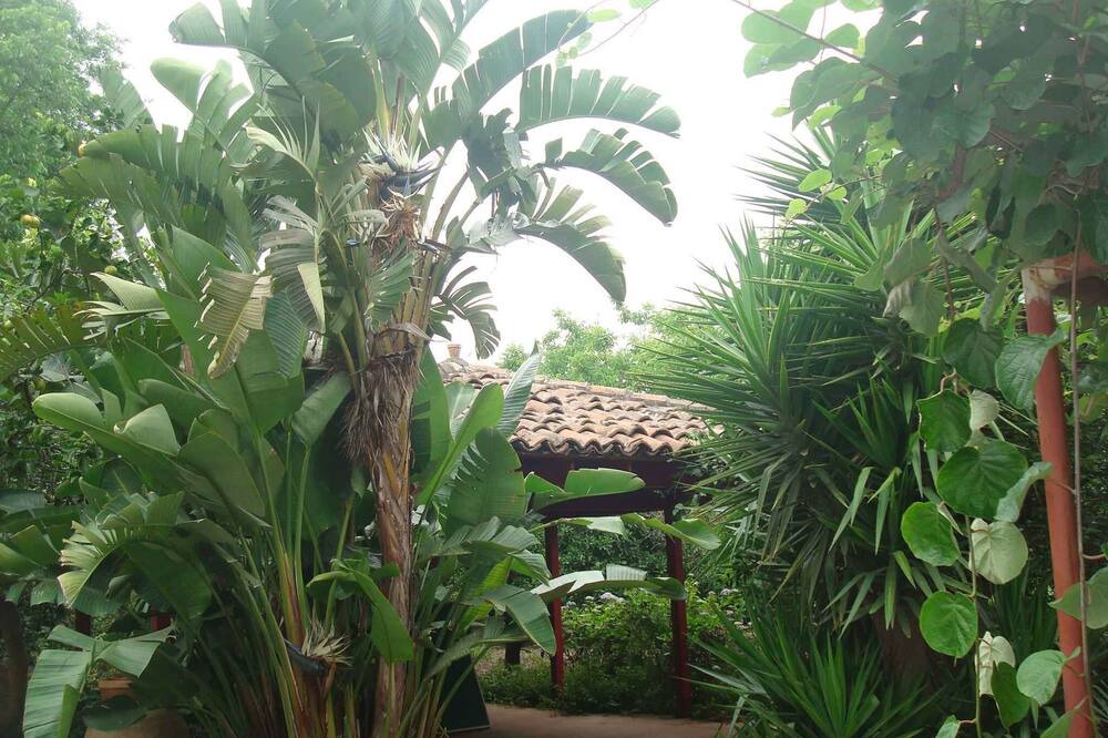 Photo of Outdoor in Sant'Anna