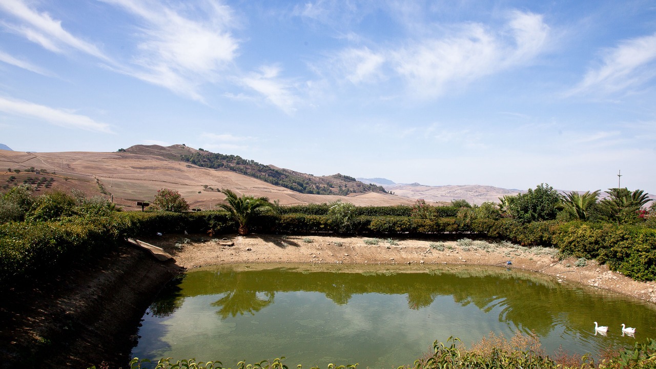 Photo of Outdoor in Alia