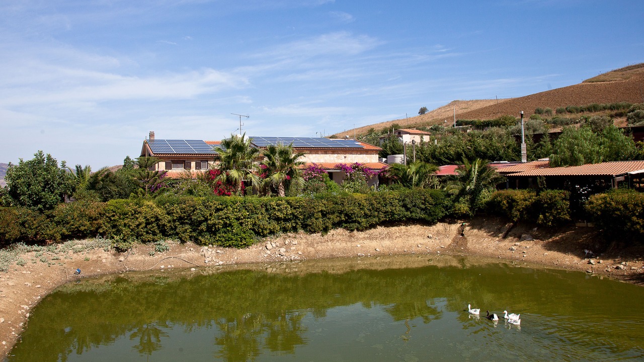 Photo of Outdoor in Alia