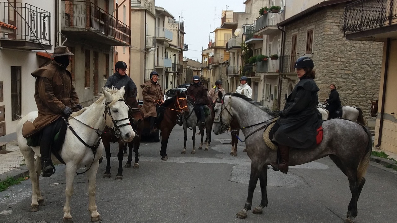 Photo of Others in Montalbano Elicona