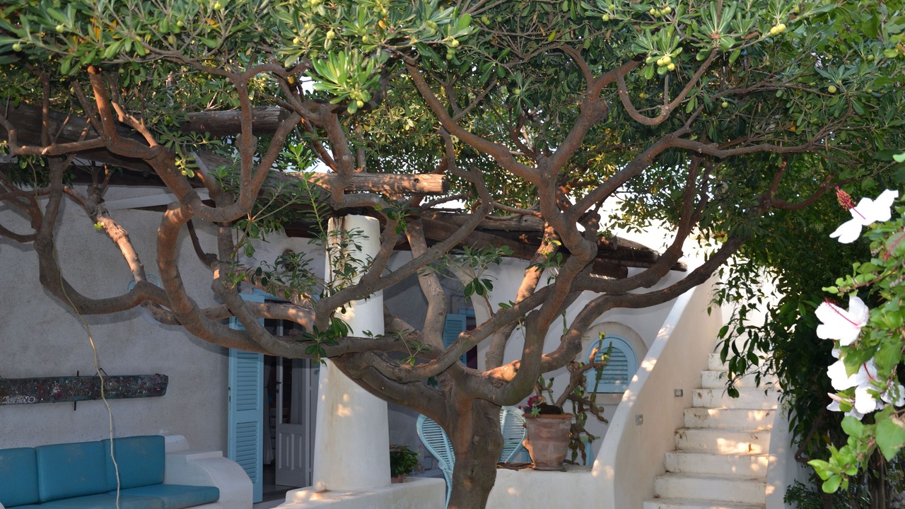 Photo of Outdoor in Piscita