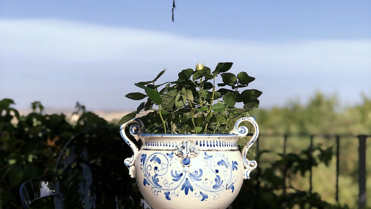 Photo of Outdoor in Racalmuto
