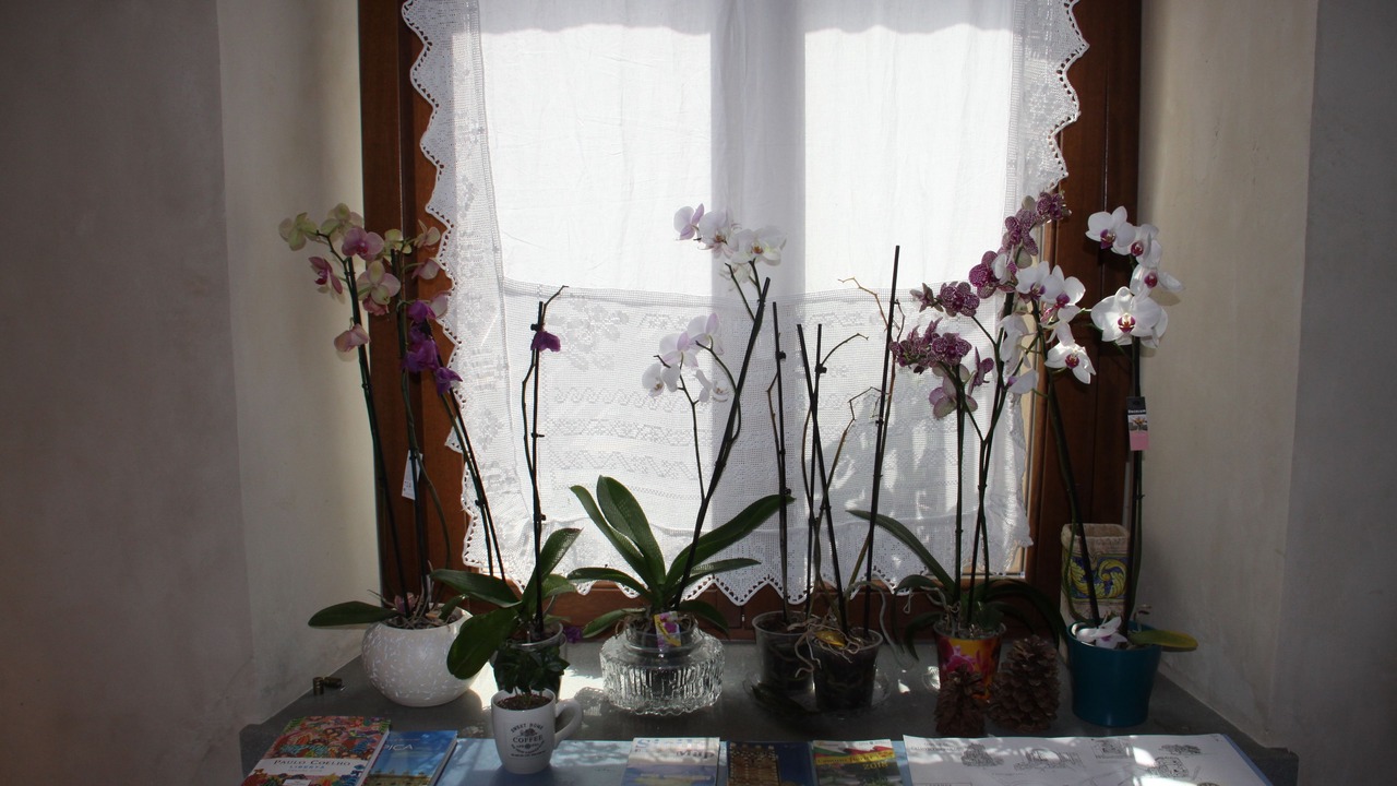 Photo of Others in Casalvecchio Siculo