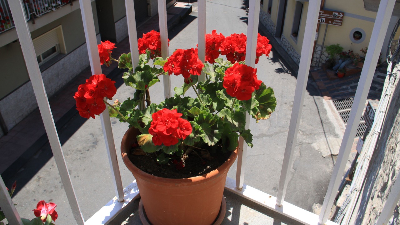 Photo of Outdoor in Casalvecchio Siculo