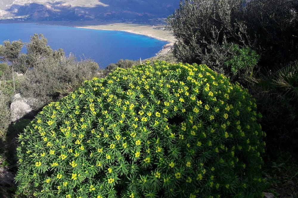 Photo of Outdoor in San Vito Lo Capo