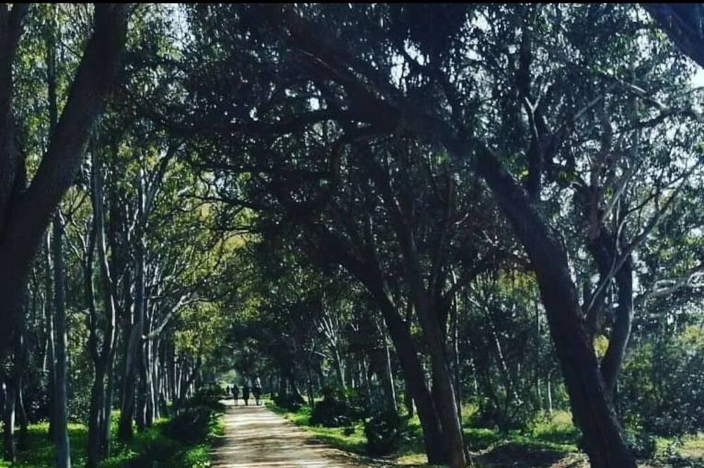 Photo of Outdoor in Seccagrande