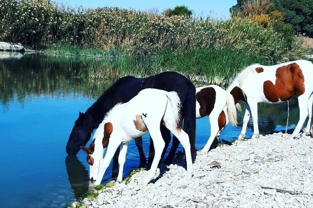 Photo of Others in Seccagrande