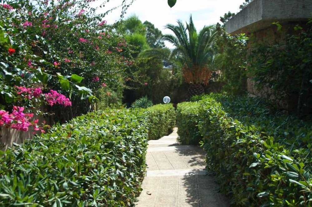 Photo of Outdoor in Sampieri