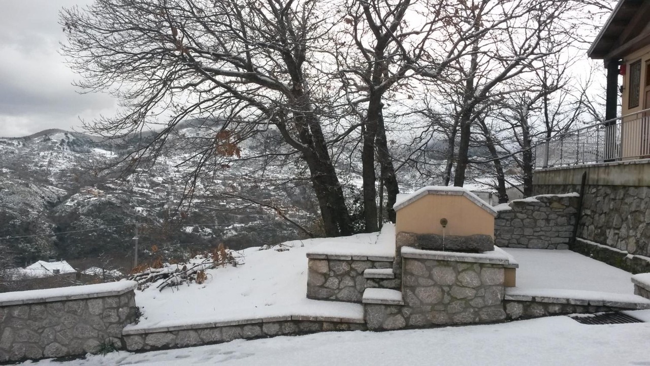 Photo of Outdoor in Longi