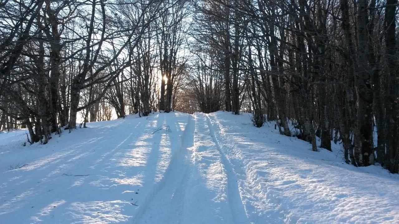 Photo of Outdoor in Longi