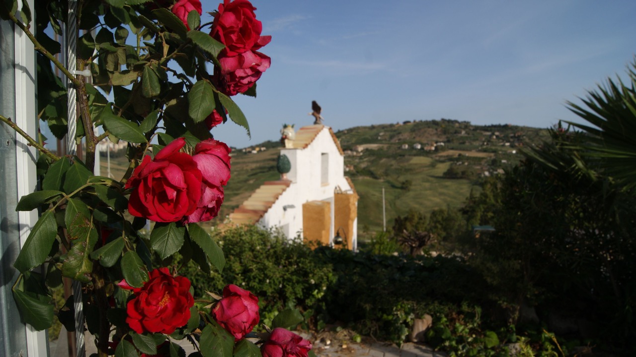 Photo of Outdoor in Agrigento