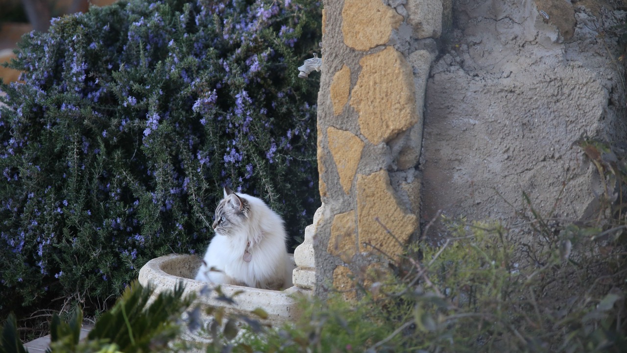 Photo of Outdoor in Agrigento