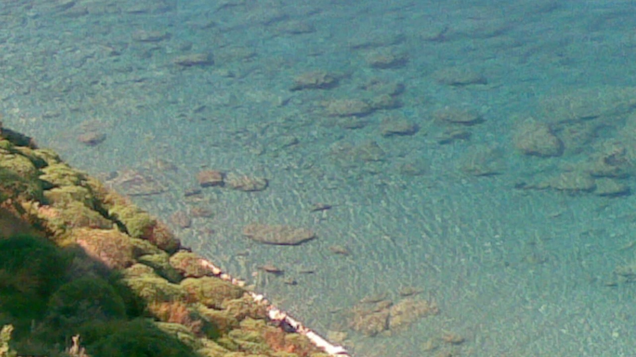 Photo of Others in Gioiosa Marea