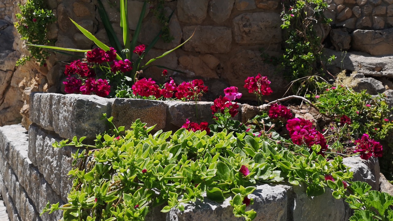 Photo of Outdoor in Addaura